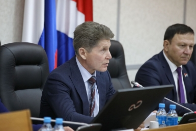 Олег Кожемяко пресс-служба правительства Приморья