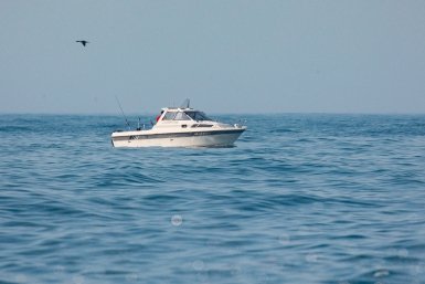 Катер, судно маломерное Илья Аверьянов, ИА PrimaMedia.ru