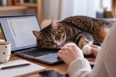 Кошка перед ложится экраном не случайно Сгенерировано ИИ